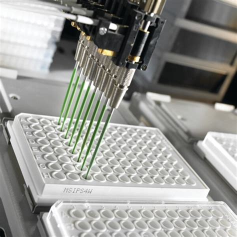 multiscreen filter plates protocol.